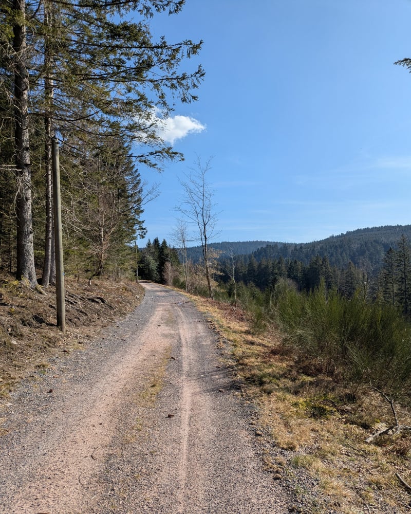 Tête de Nayemont de Clair Sapin - Arrentès-de-Corcieux