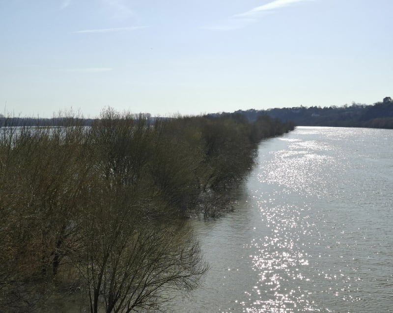 De la Roseraie à  la Maine - Angers