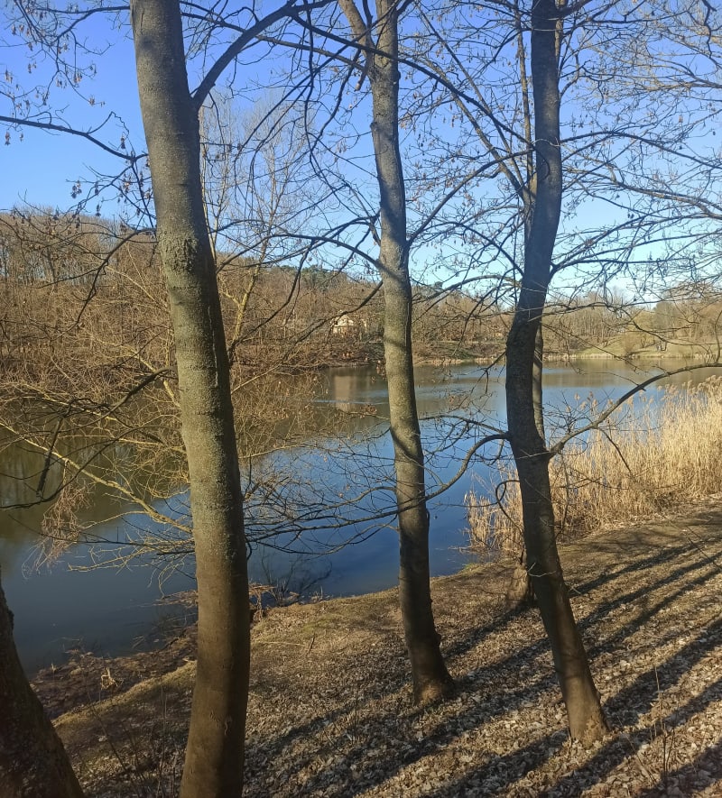 Staw na błotnej - Gorzów Wielkopolski
