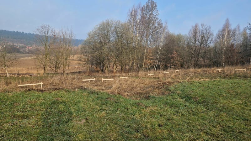 Spacer na Wzgórze Kościuszki - Jelenia Góra