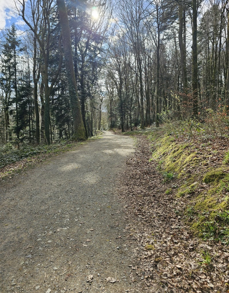 Petite promenade Cravanche - Cravanche
