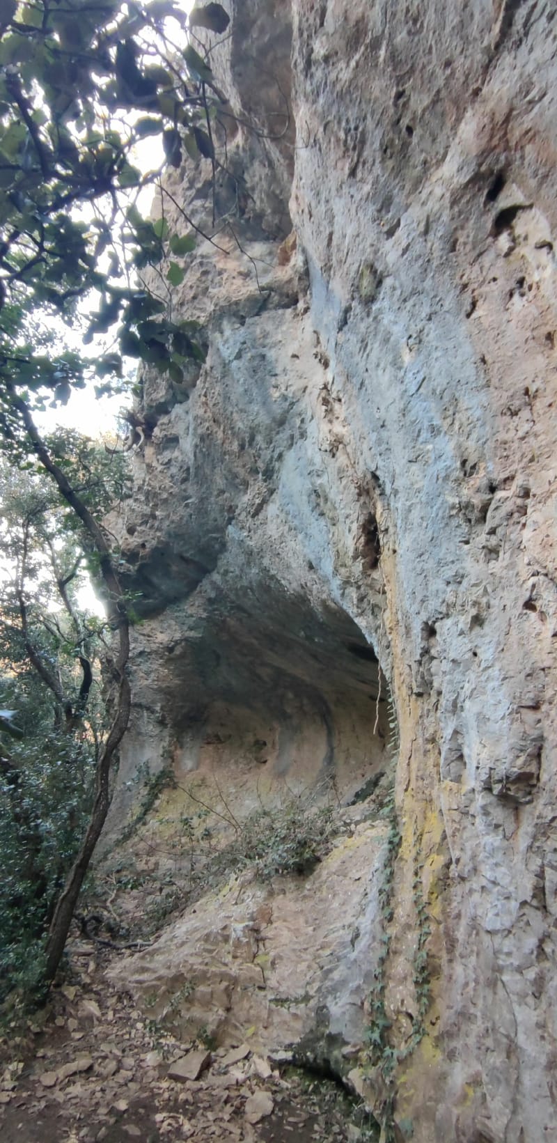 Rando bois des Coufines - Cabrières