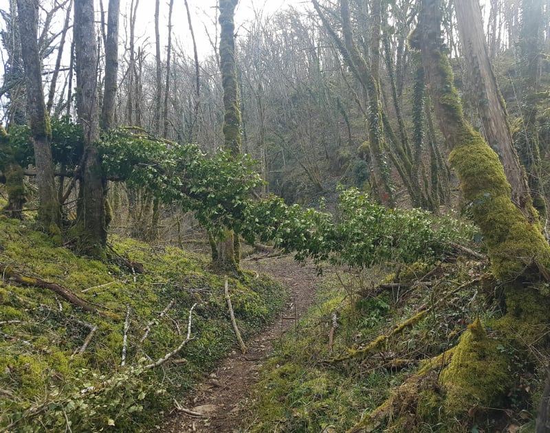 Balade dans les combes proximité de Darois - Plombières-lès-Dijon