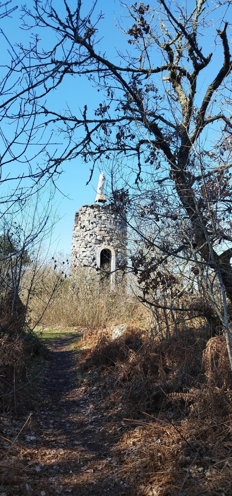 Balade à  Fontainebleau - Fontainebleau