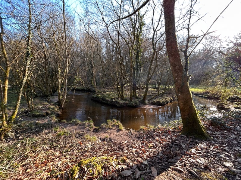 Limerzel et la vallée du trevelo - Limerzel