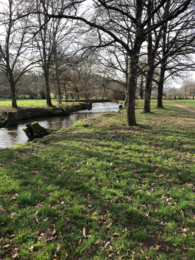 Des rives de l’Aurence à la forêt des Vaseix - Limoges