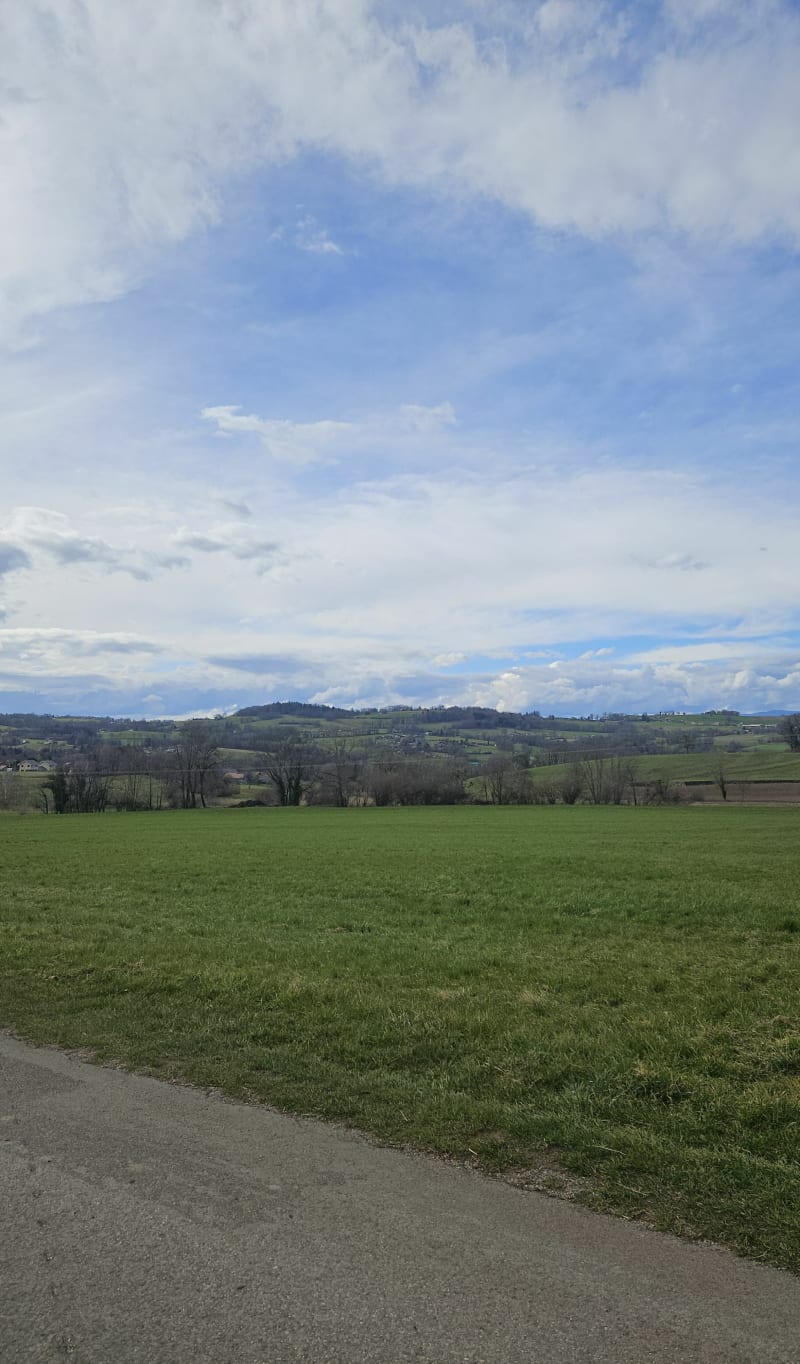 Balade de Mûres à Gruffy par le Vernet - Mures