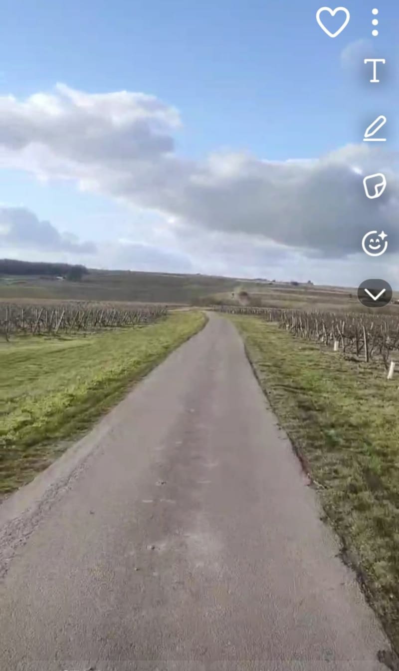 Boucle Grande Champagne - Salles-d'Angles