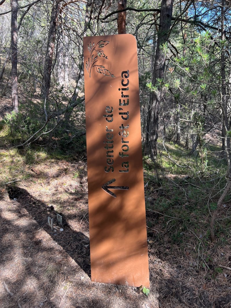 Sentier de la forêt d’Erica - Villarodin-Bourget