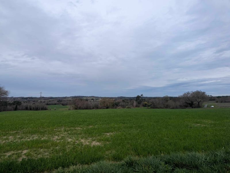 Balade entre champ et forêt a Boisredon - Boisredon