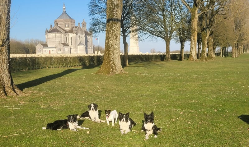 Balade autour de la Colline de Lorette - Ablain-Saint-Nazaire