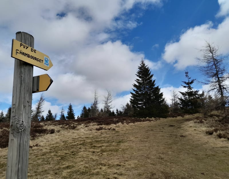 Tour et sommet du Chambourget - Besse-et-Saint-Anastaise