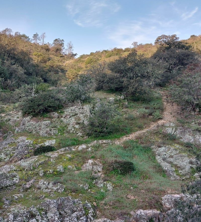 Boucle dans le massif de Roquebrune-sur-Argens - Roquebrune-sur-Argens