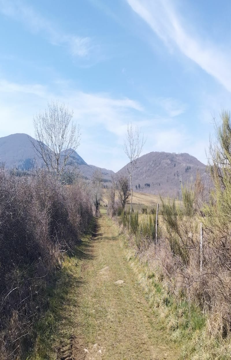 D'Argnat à Egaules par les chemins forestiers - Sayat