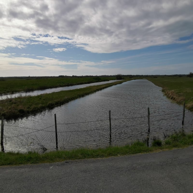 Boucle la cotinière, Boyarville, en passant par les Marais - Saint-Pierre-d'Oléron