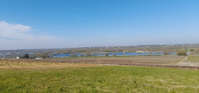 Circuit du Loroux via Les Moulins et Le Pont de l'Ouen - Le Loroux-Bottereau