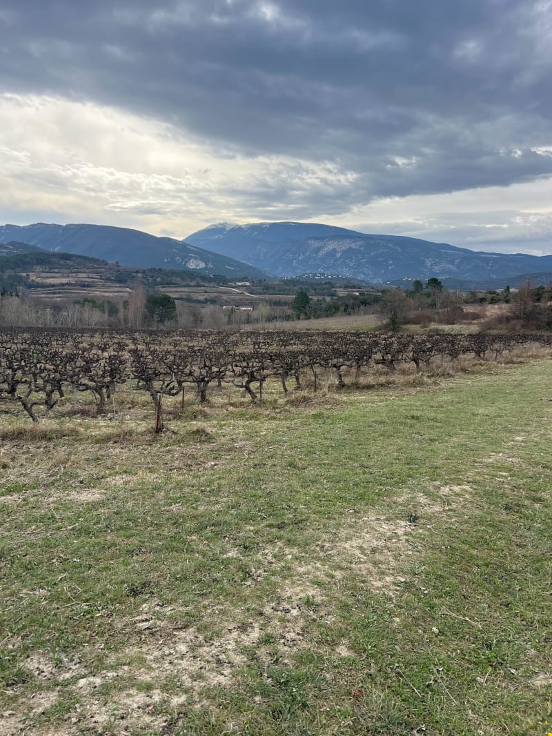 Route de Mérindol et l'Eyguemarse - Mollans-sur-Ouvèze