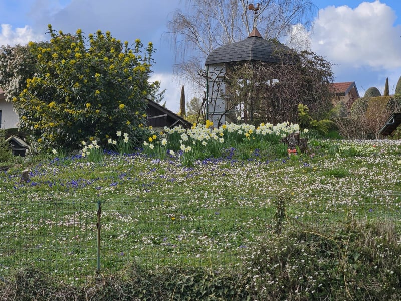 Tour sur les hauteurs de Saint-Gervais-d'Auvergne - Saint-Gervais-d'Auvergne