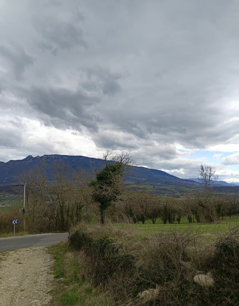 Le long du canal du Rhône entre Massignieu et Chanaz - Massignieu-de-Rives
