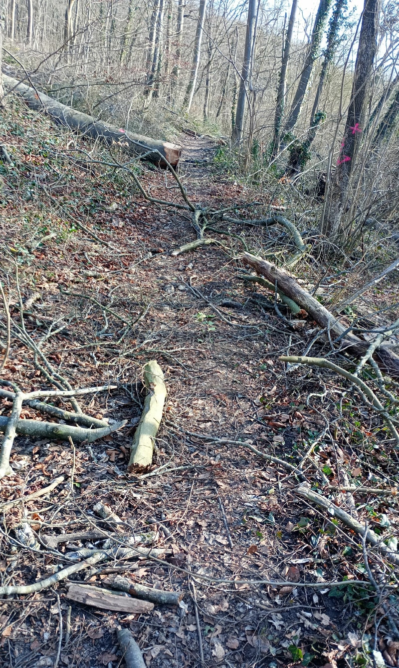 Balade ensoleillée en VTT en forêt de Gravigny Huest - Gravigny