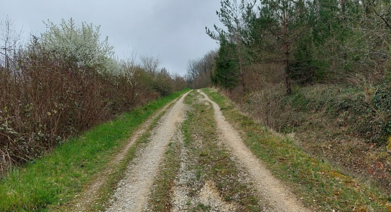 Boucle dans la vallée de l'Anguienne sous Soyaux - Trois-Palis
