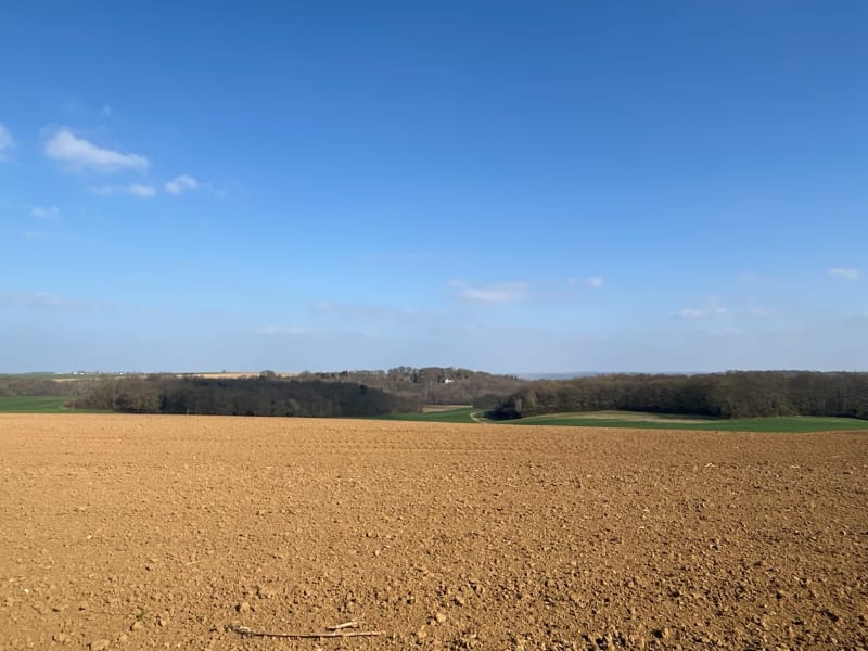 Balade dans les champs à Acy-en-Multien - Acy-en-Multien