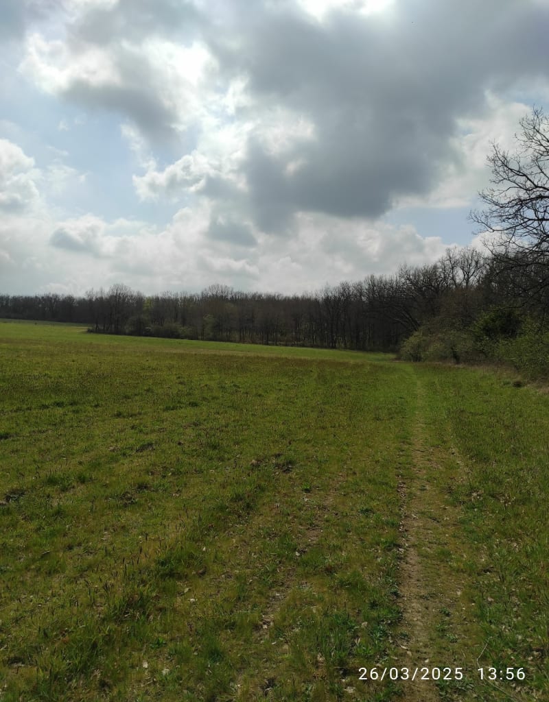 Entre Pompignan et St-Rustice - Saint-Rustice