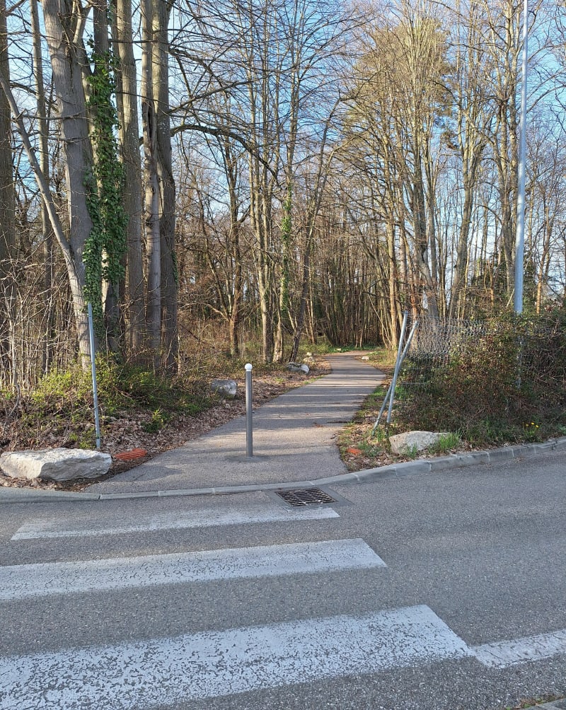 Balade entre lac et Bois des Franchises - Charvieu-Chavagneux
