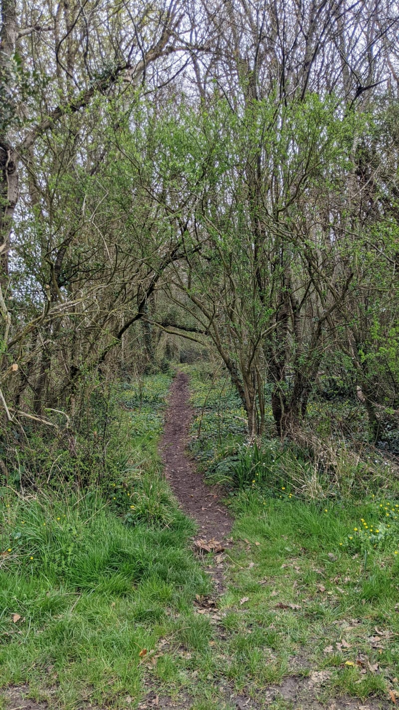 Balade printanière entre bois et champs à Saint-Georges-des-Coteaux - Saint-Georges-des-Coteaux