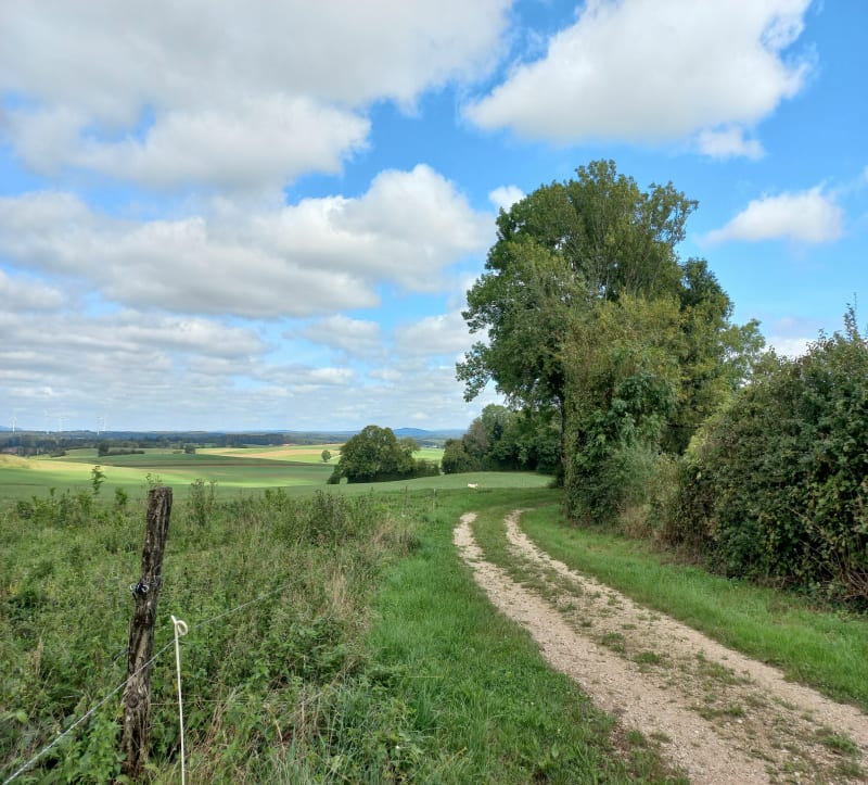 Autour de Plasne par Grande Fin - Plasne