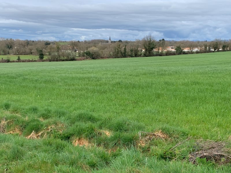 Champs et hameaux du Tablier et les Ribardières - Le Tablier