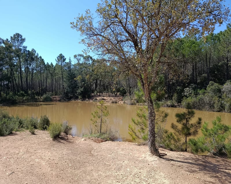 Balade à la Bouverie - Roquebrune-sur-Argens