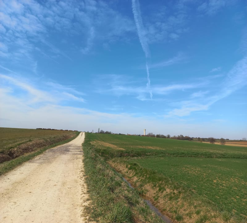 Sentier du Nacey, Bois des Charmeux, depuis Soissons-sur-Nacey - Soissons-sur-Nacey