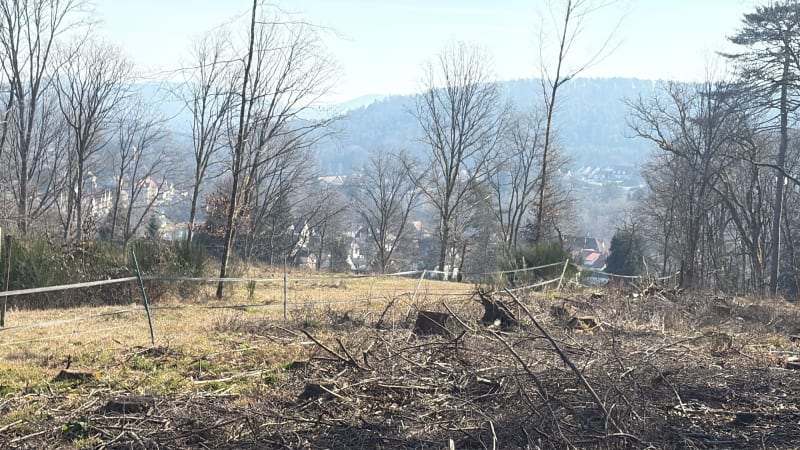 Sentier des verriers à Wingen-sur-Moder - Wingen-sur-Moder