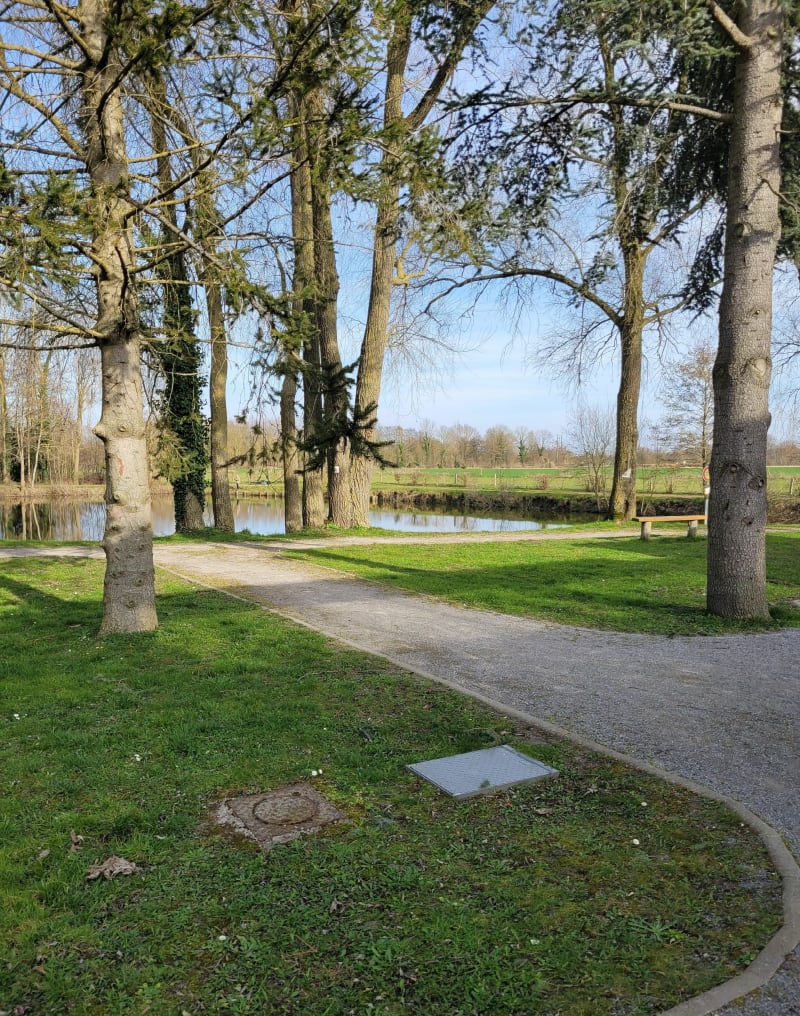 Bois de Thun et chemin de halage le long de la Scarpe - Thun-Saint-Amand