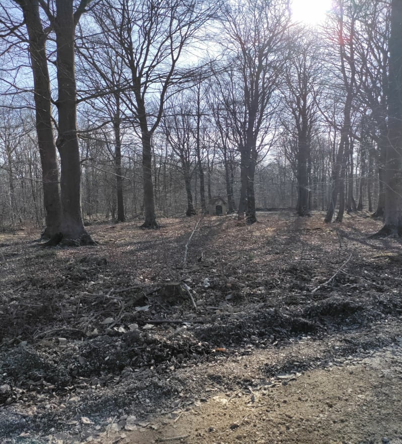 A travers la forêt d'Eperlecques et par le Musée - Éperlecques