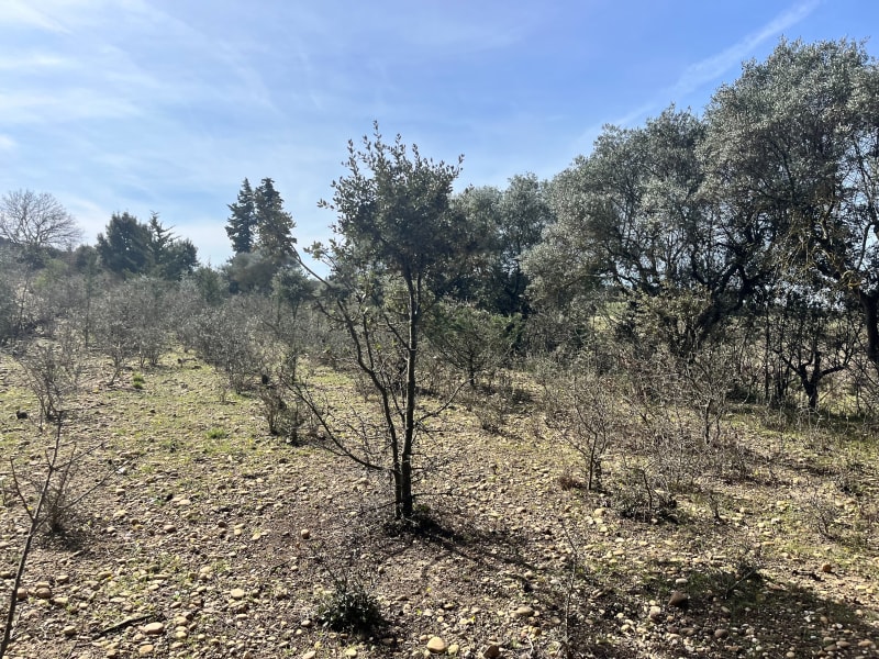 Autour des Piecaous - Saint-Saturnin-lès-Avignon