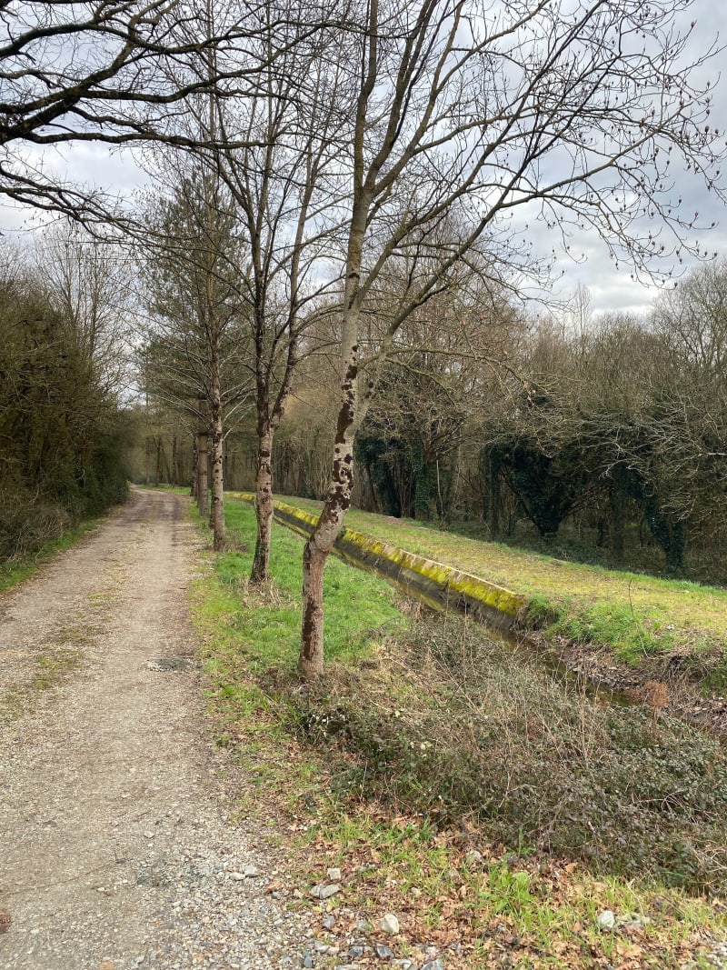 Boucle en campagne depuis lac de Vioreau - Joué-sur-Erdre