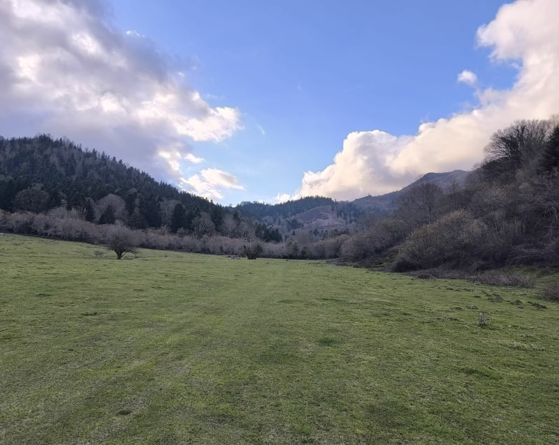 Tour du marais du Roy - Breuil-Magné