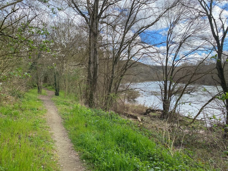 Carbonne, entre Garonne et l’Arize - Carbonne