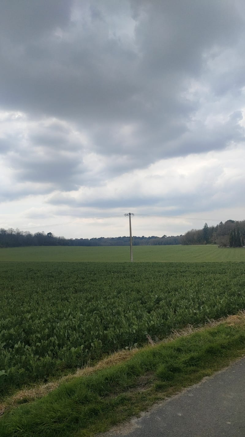 Balade ambertoise - Ambert