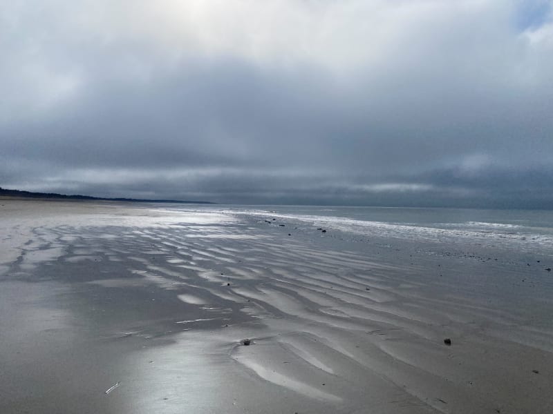 Fromentine, forêt, et plage de la Grande Côte - La Barre-de-Monts