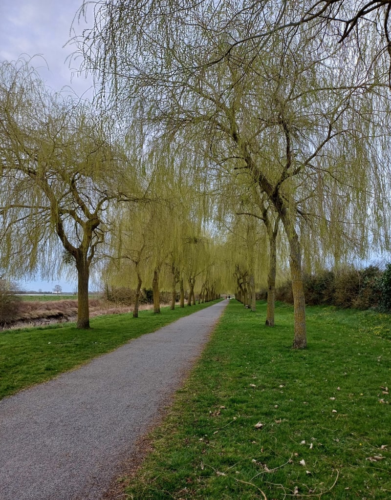 La campagne de Milly par la Pigeonnière - Grandparigny