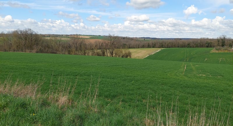 Entre Vars et Montignac - Vars