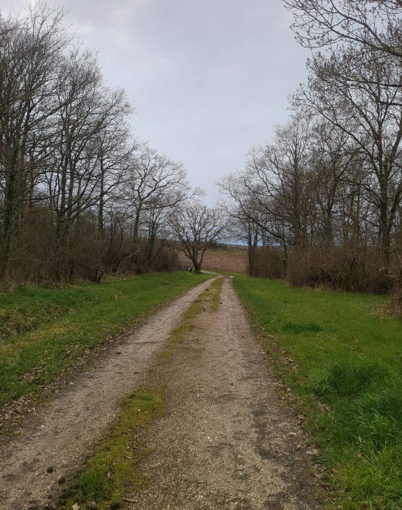 Entre forêt vigne et village par Blaison - Blaison-Saint-Sulpice