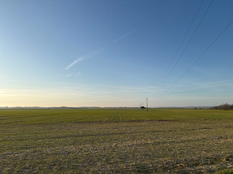 5km autour de Campigneulles-les-Grandes - Campigneulles-les-Grandes