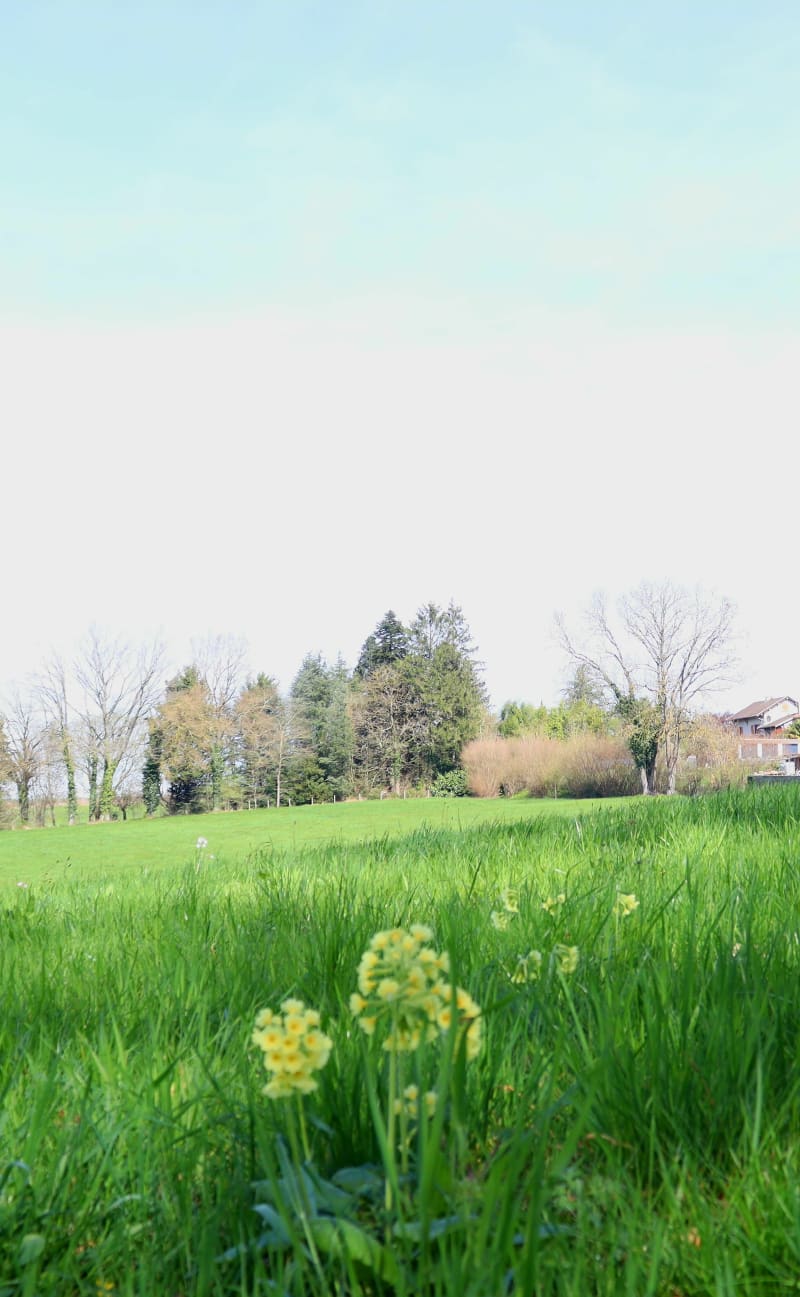 Balade autour de Priay - Priay