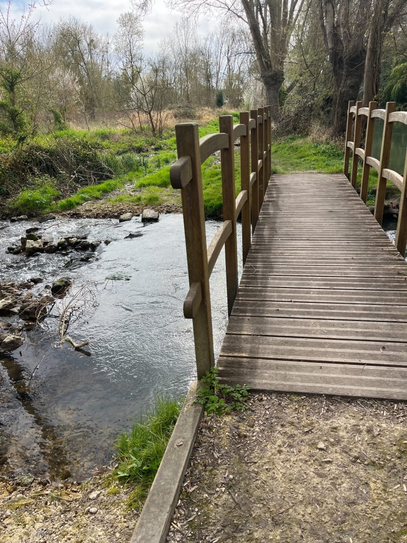 Entre les rives de la seudre et les remparts du donjon - Pons