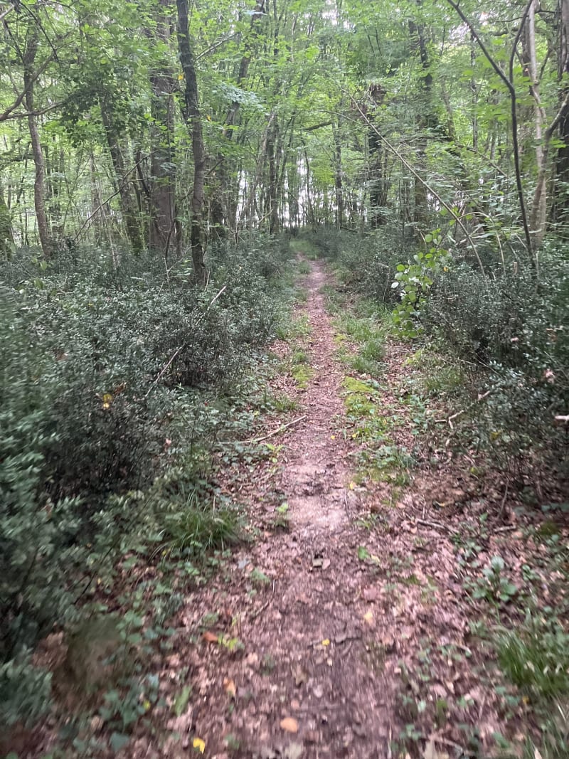 Berneuil découverte de ces alentours, par Bois de Méglade et du Soufflet - Berneuil