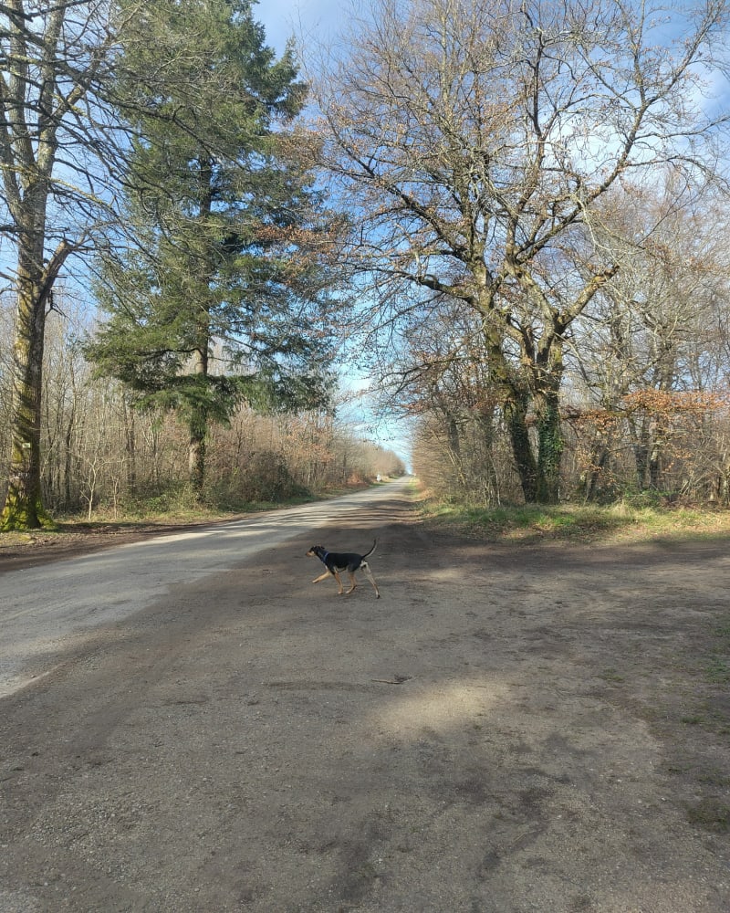 Balade pieds au sec, depuis Gros Fayant et le lac Noir - Rivières